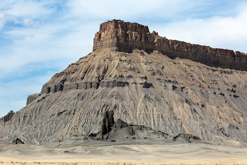 Bison : Antelope Island : Utah : Landscape Photos : Richard Moore : Photographer